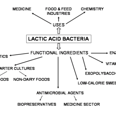 Lactic Acid Definition Food, Nutrition, and Facts