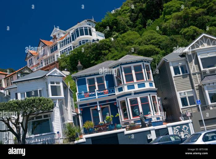 Houses to rent in wellington new zealand